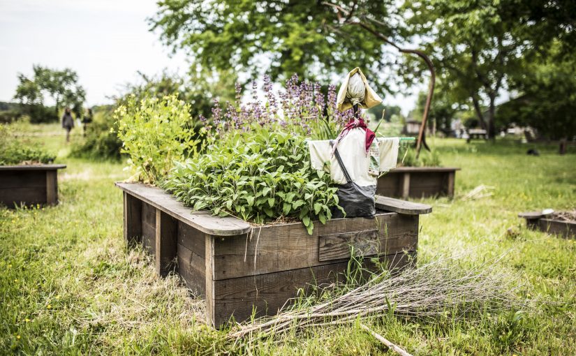 Ferme découverte de l'Éco-lieu JEANOT, Rion-des-Landes - photo 2