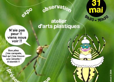 Vive les araignées !