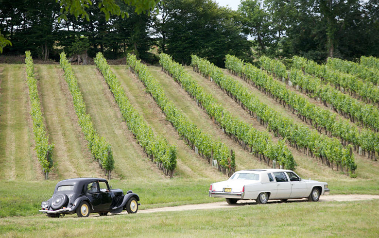 Journées portes ouvertes en Cadillac Côtes de Bordeaux, Cadillac-sur-Garonne - photo 5