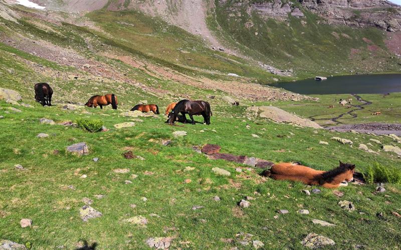 Les 4 Lacs : d'Anglas, Uzious, Lavedan et Louesque