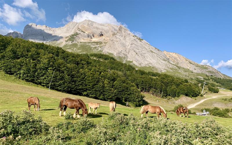 Télécabine de Bézou