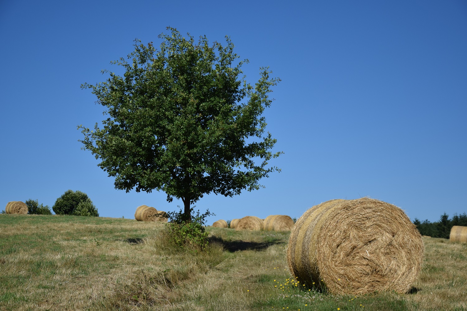 Boucle Plateau du Guet, Jumilhac-le-Grand - photo 2