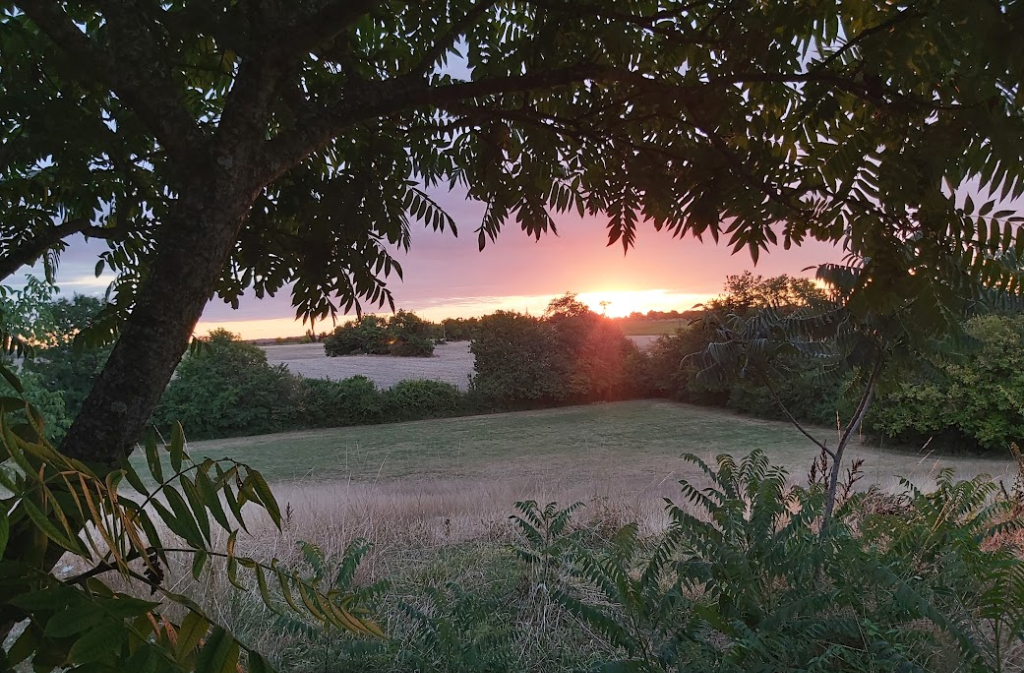 Domaine de Jurmilhac | La Borie, Montaut - photo 8