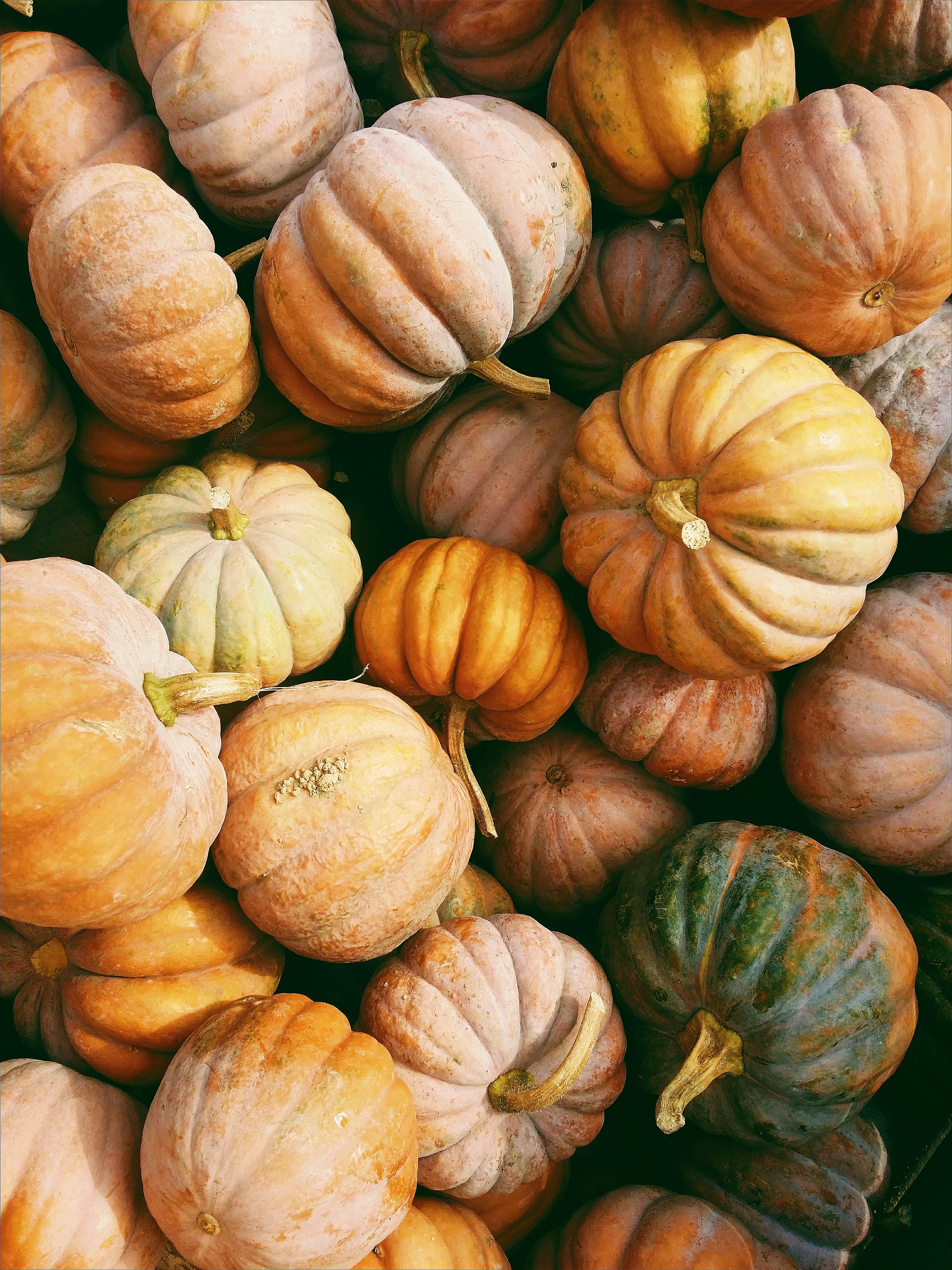 Foire d'automne  de Beaulieu-sur-Dordogne