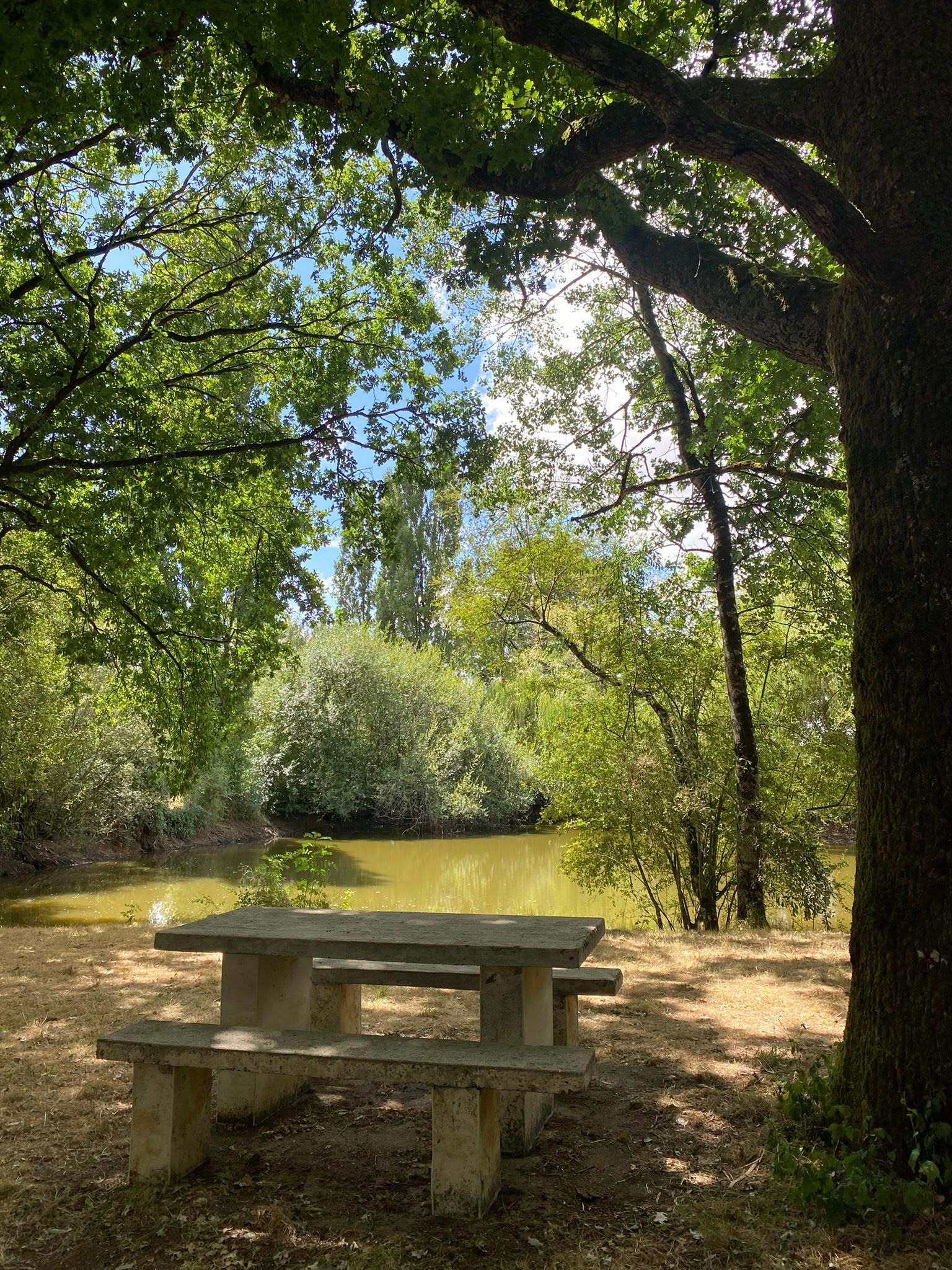 Aire de Pique-Nique - Mare des Gasses
