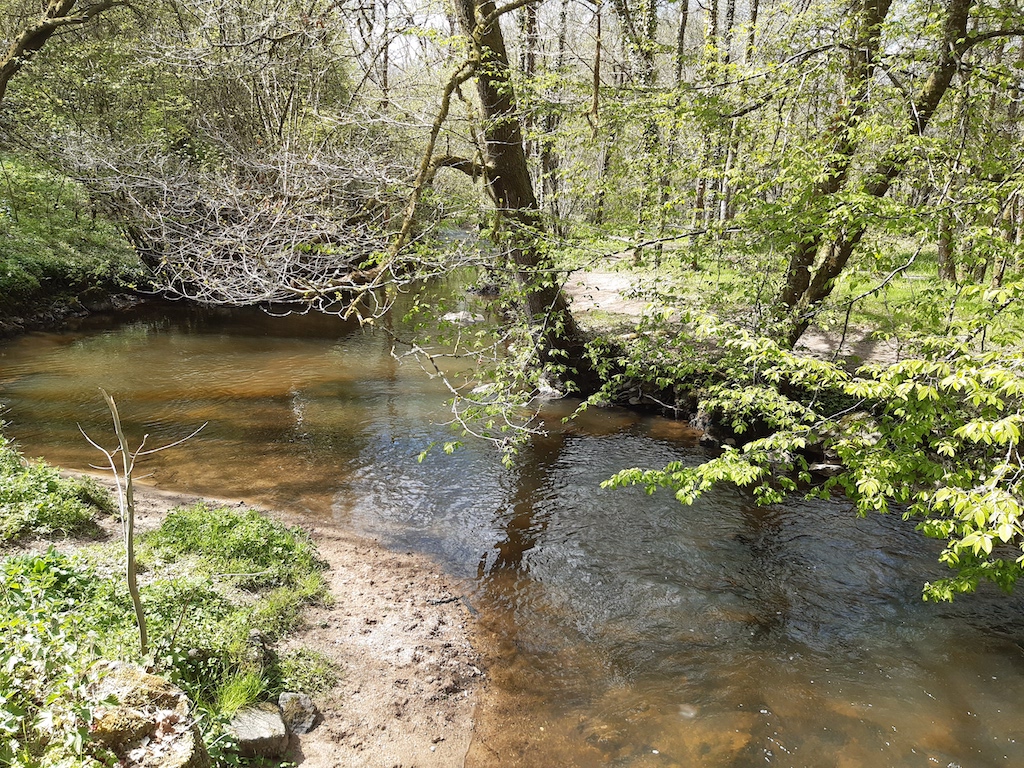 Sentier des Biards — photo 3