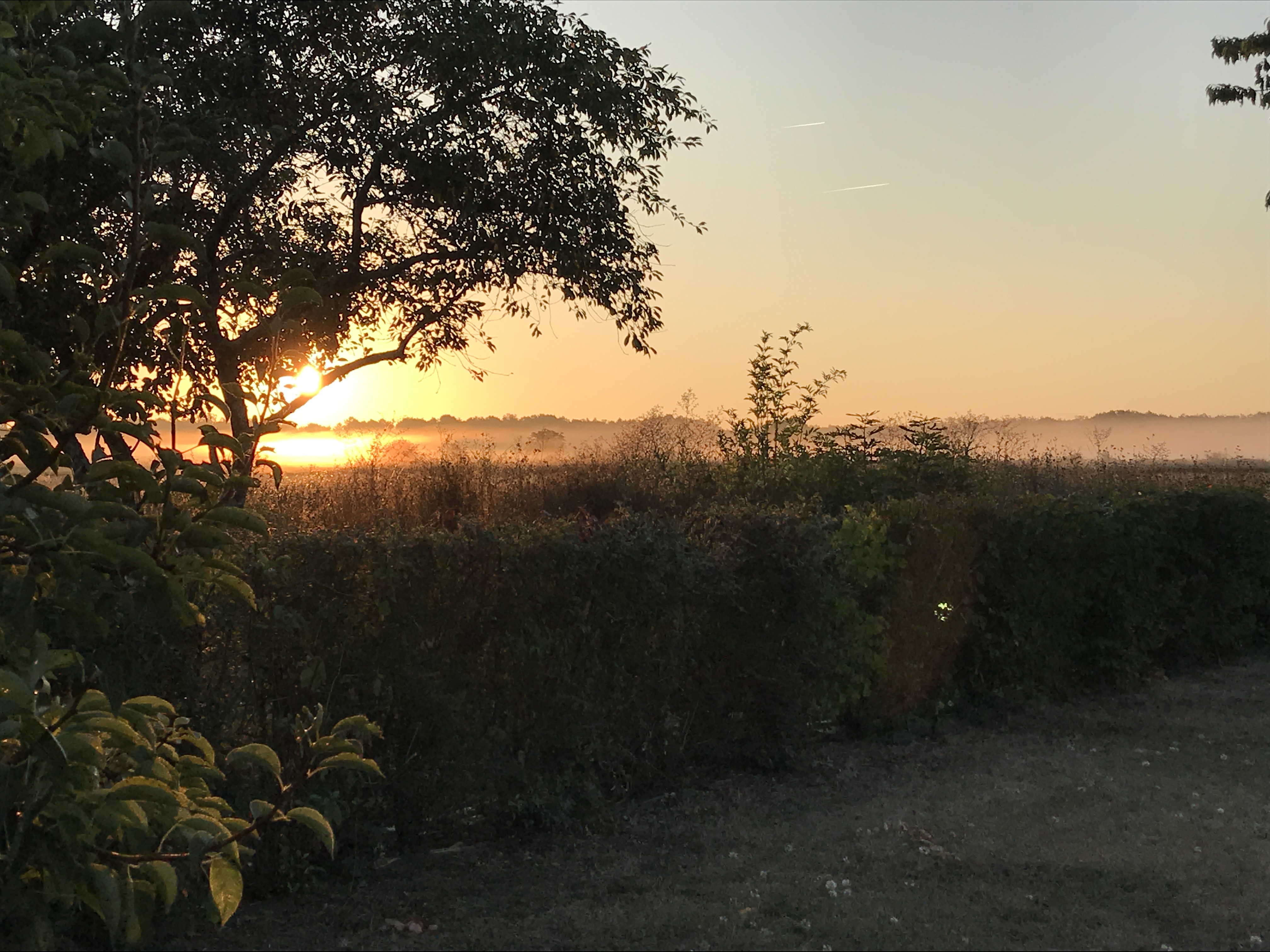 L' Abri Simonne - photo 3