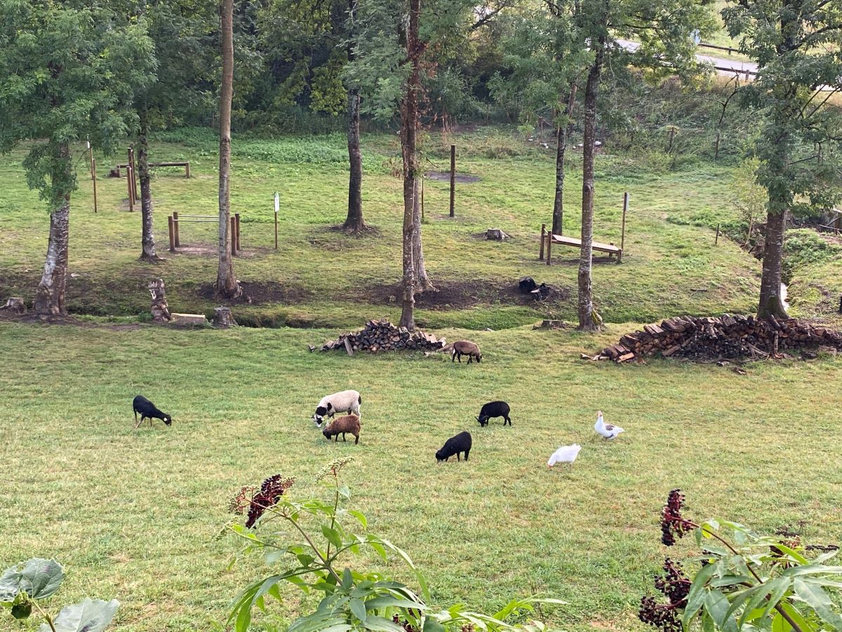 Boucle des remparts Monpazier, Villes et villages fleuris, Monpazier - photo 4