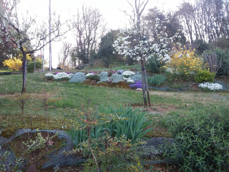 L'Escale, Domme - photo 3