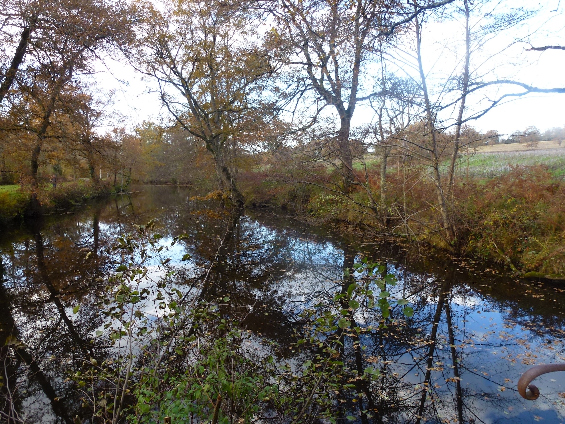 circuit Brame et pâturage, Oradour-Saint-Genest - photo 3