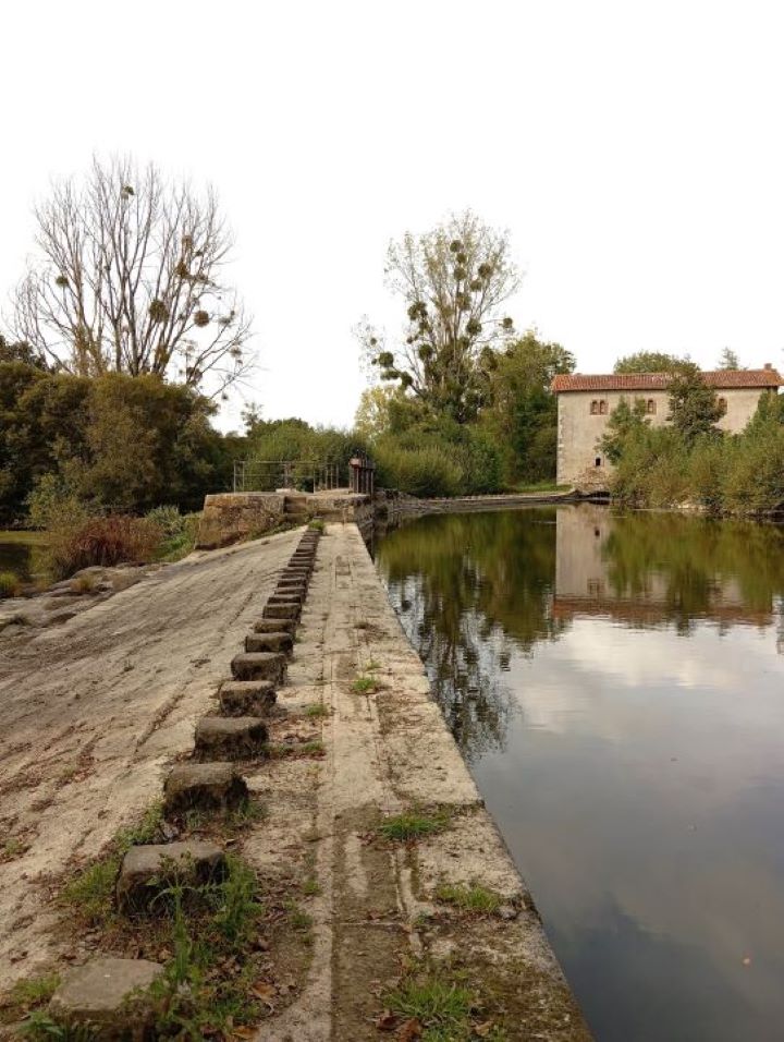 Gîte le Grand Puy Loup, Saint-Amand-sur-Sèvre - photo 20