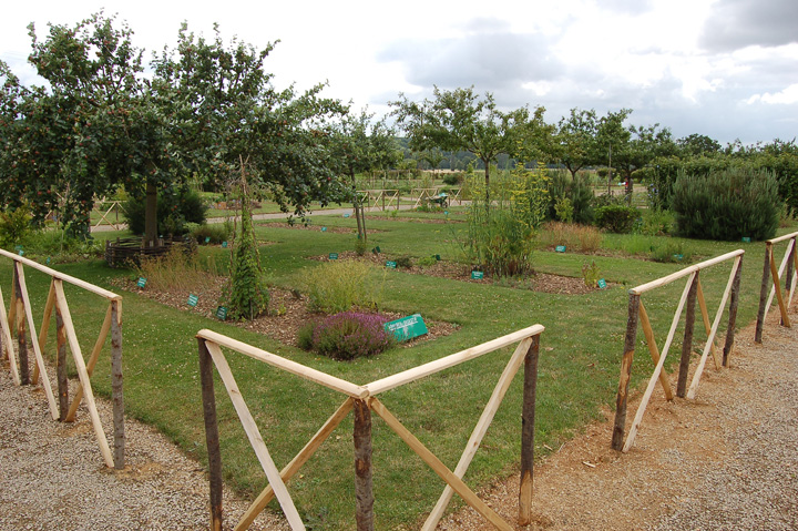 Arboretum de la Bussière, La Bussière - photo 2