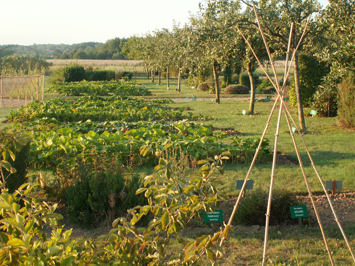 Arboretum de la Bussière, La Bussière - photo 7