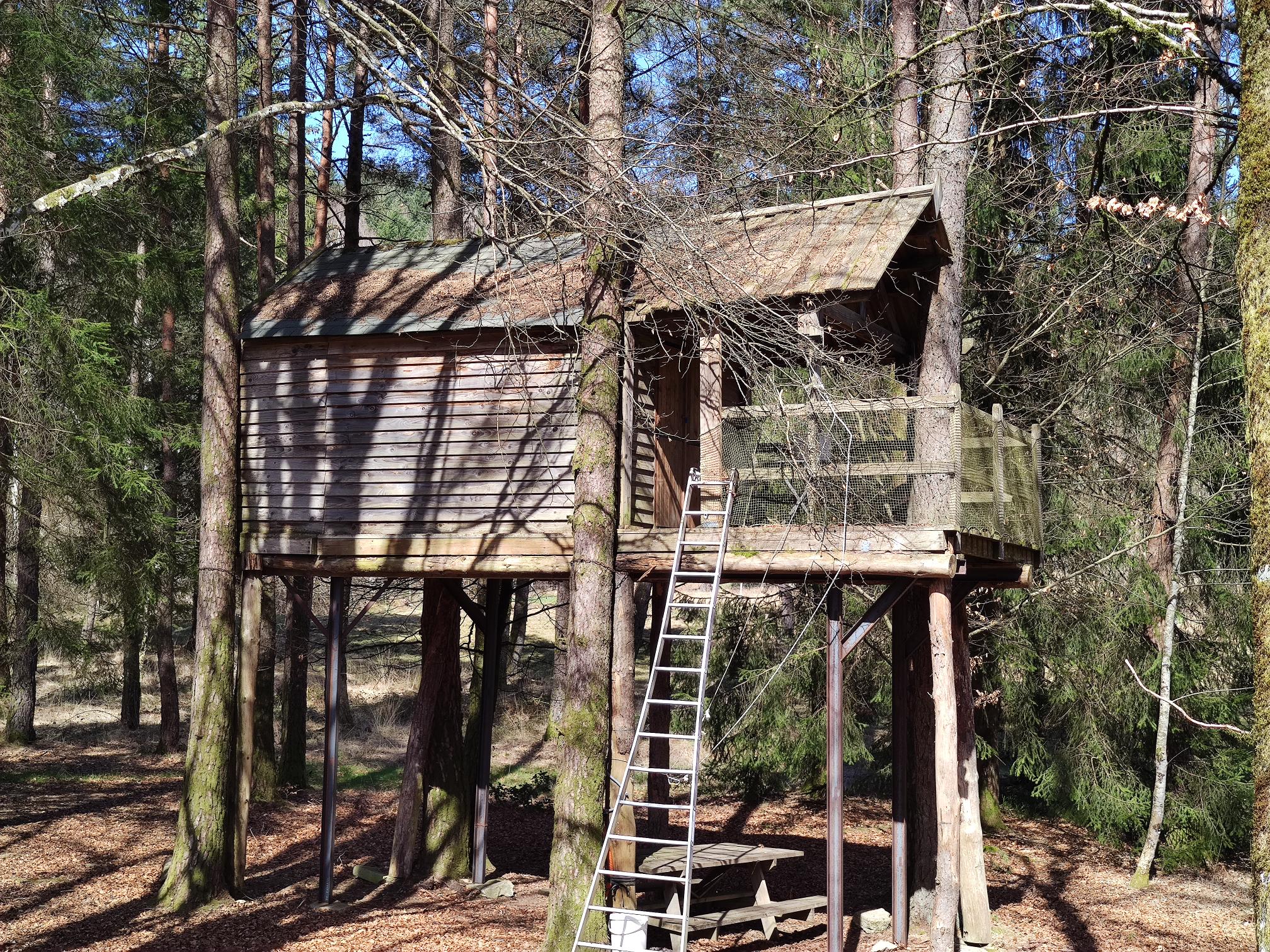 Cabane dans les arbres de la Ferme de Vassivière