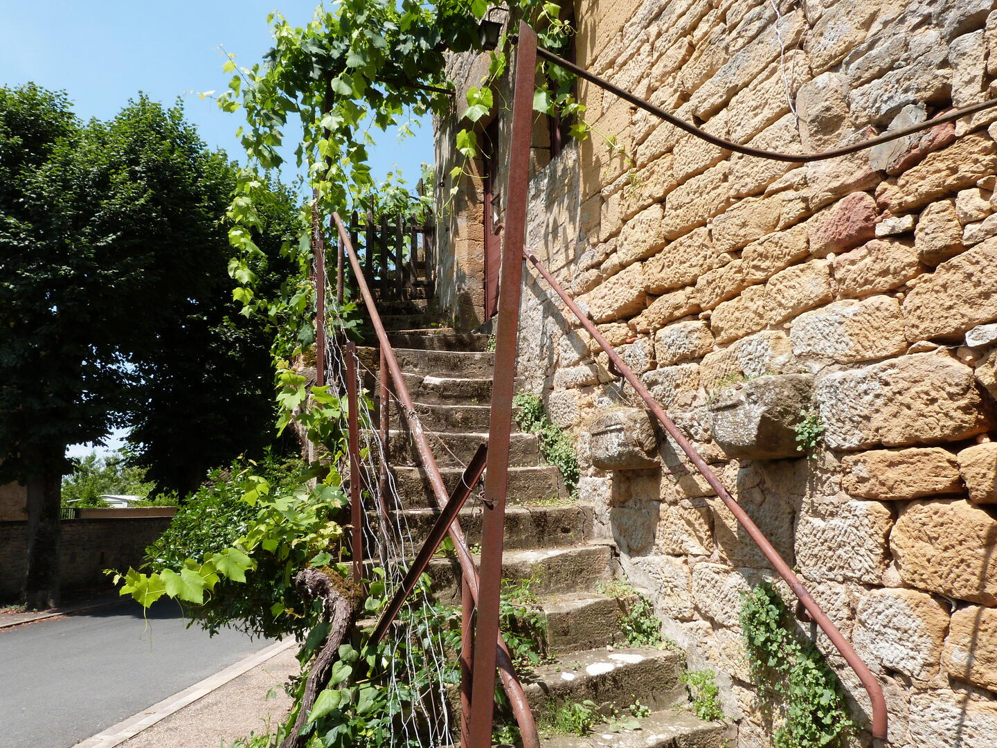 Boucle de la Turançonnaise n°14 / La Chapelle Aubareil