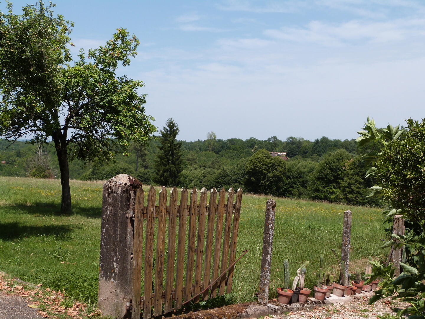 Boucle de l'Albaroise n° 15 / La Chapelle Aubareil