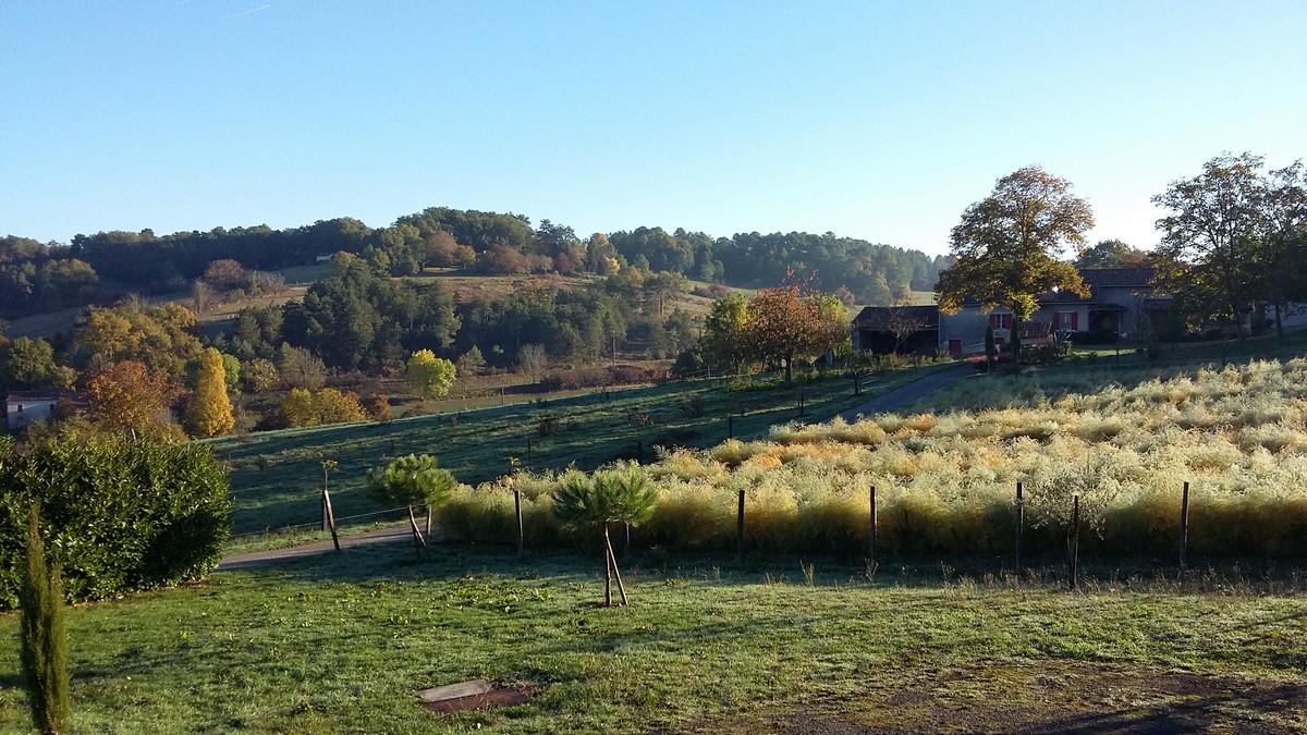 La Ferme de Marcel - Légumes — photo 2