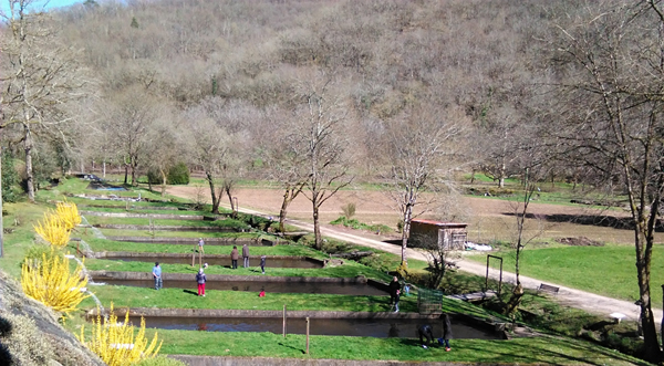Pisciculture La Fialicie