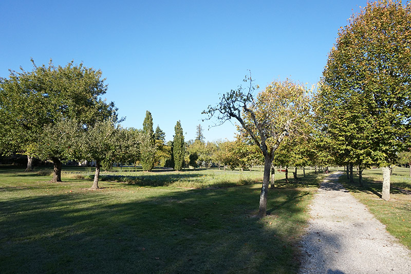 La Force - Visite guidée de la ville, La Force