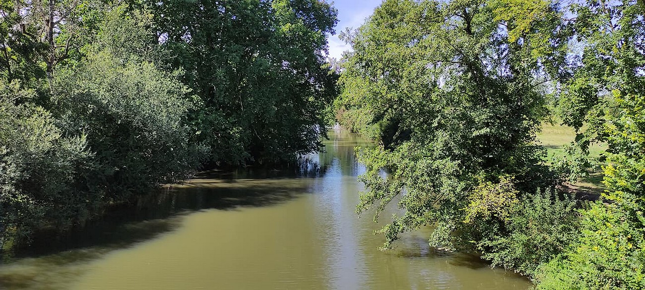 Aire Camping-car Park de La Forêt-sur-Sèvre - photo 5