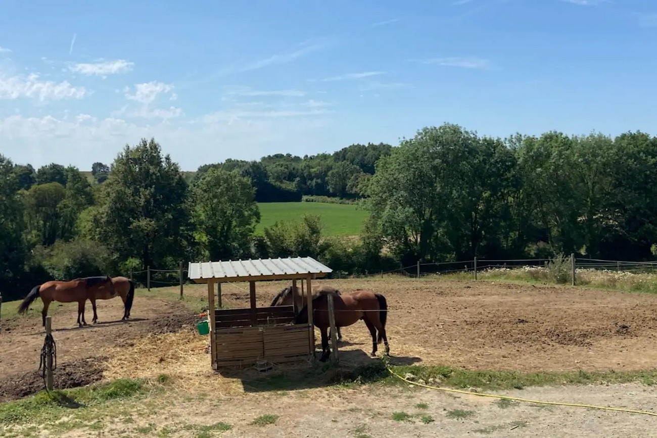 Chambre d'hôtes des Roseaux, La Forêt-sur-Sèvre - photo 6