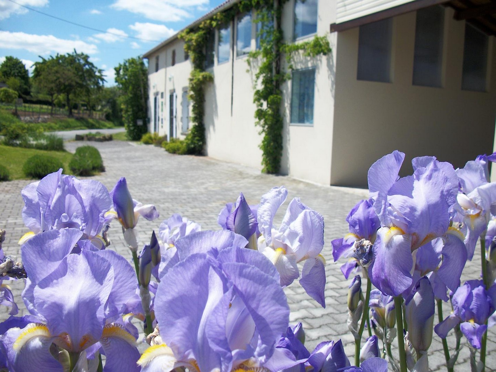 Chambres d'hôtes Le Jardin de Prunelle, La Forêt-sur-Sèvre - photo 4