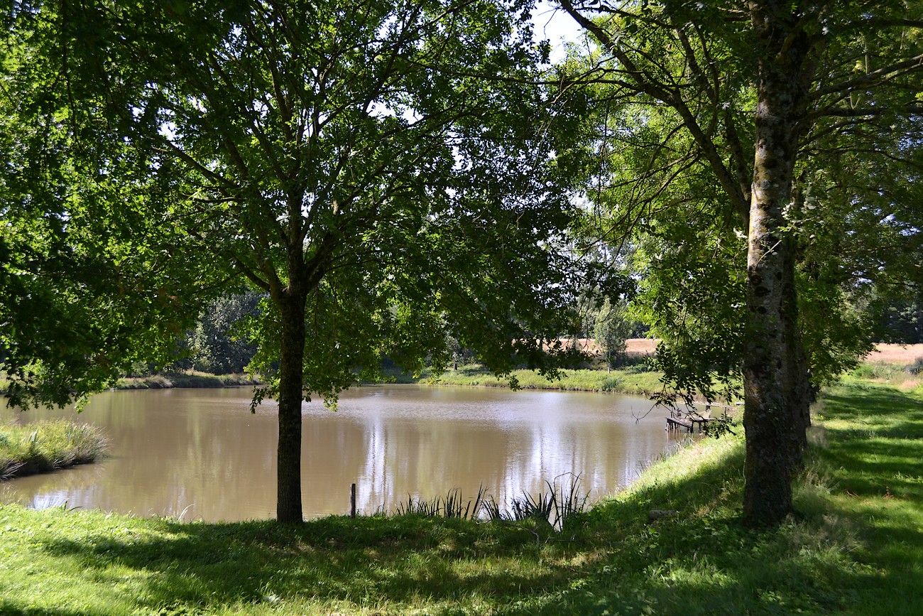 Gîte Au Fil d'Etangs, La Forêt-sur-Sèvre - photo 5