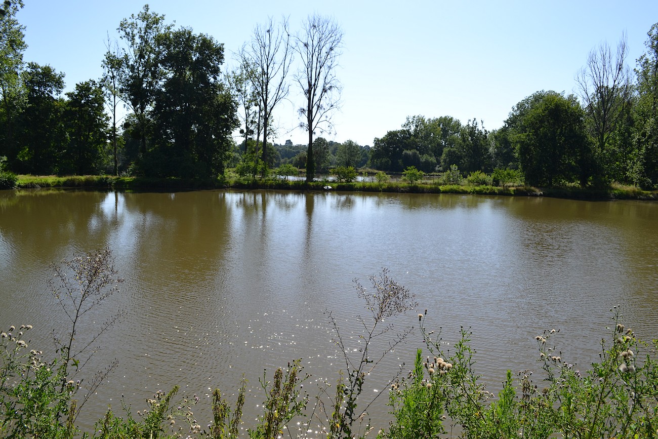 Gîte Au Fil d'Etangs, La Forêt-sur-Sèvre