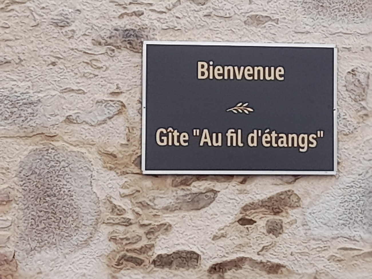 Gîte Au Fil d'Etangs, La Forêt-sur-Sèvre - photo 7
