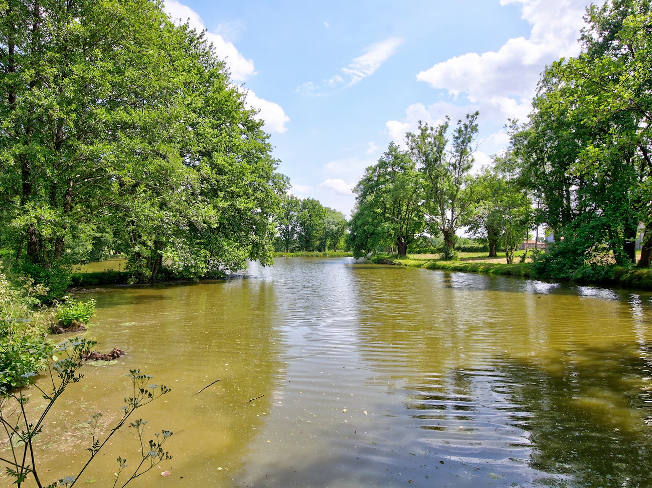 Aire de camping-car "Les Forges Fishing" - photo 5