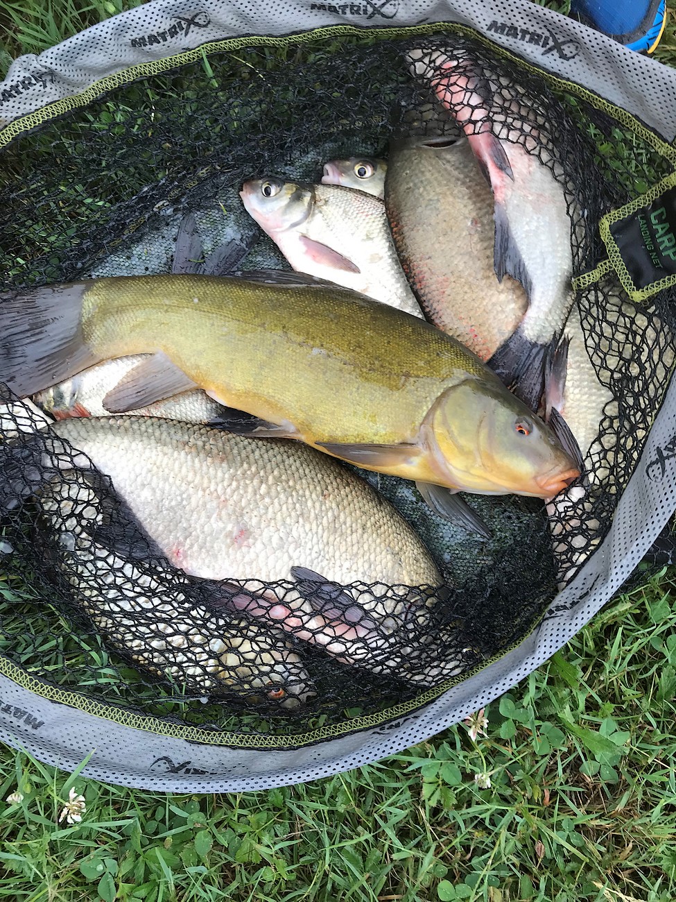 Aire de camping-car "Les Forges Fishing", La Forêt-sur-Sèvre - photo 7