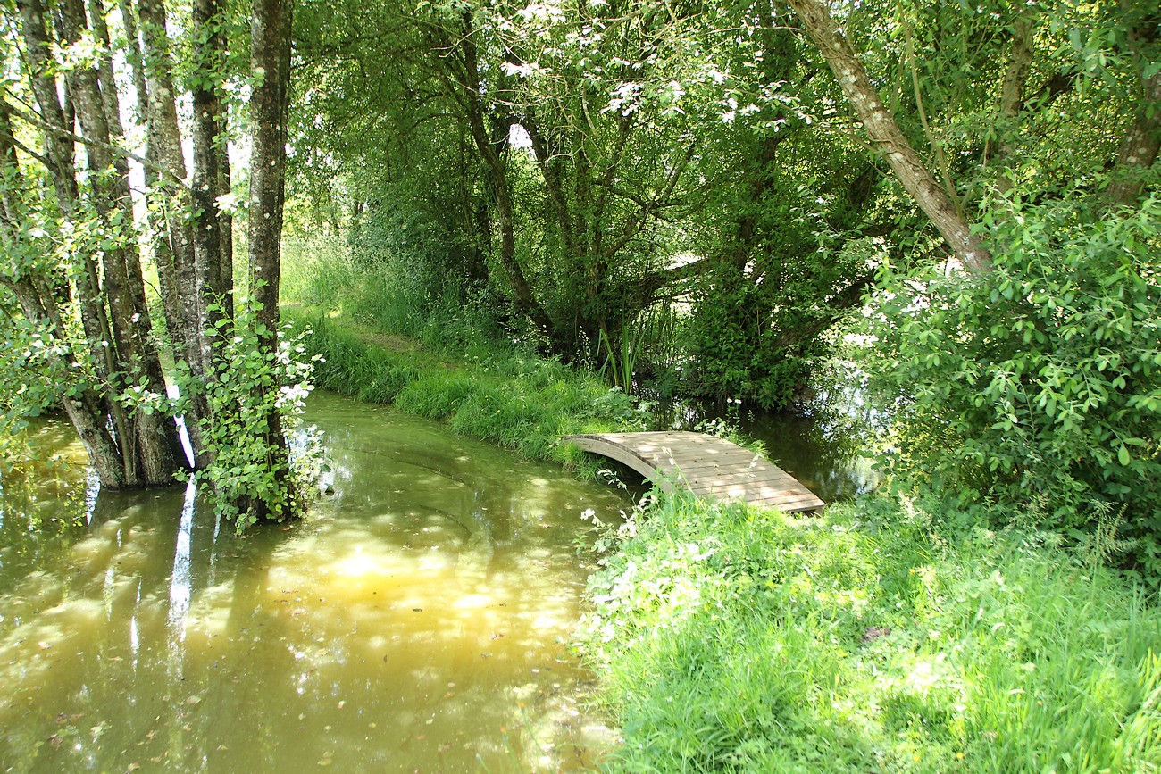 Aire de camping-car "Les Forges Fishing" - photo 2