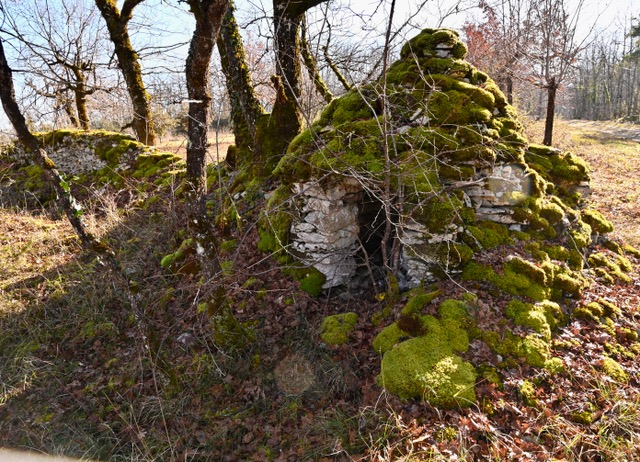 Boucle des Farges la Gondie