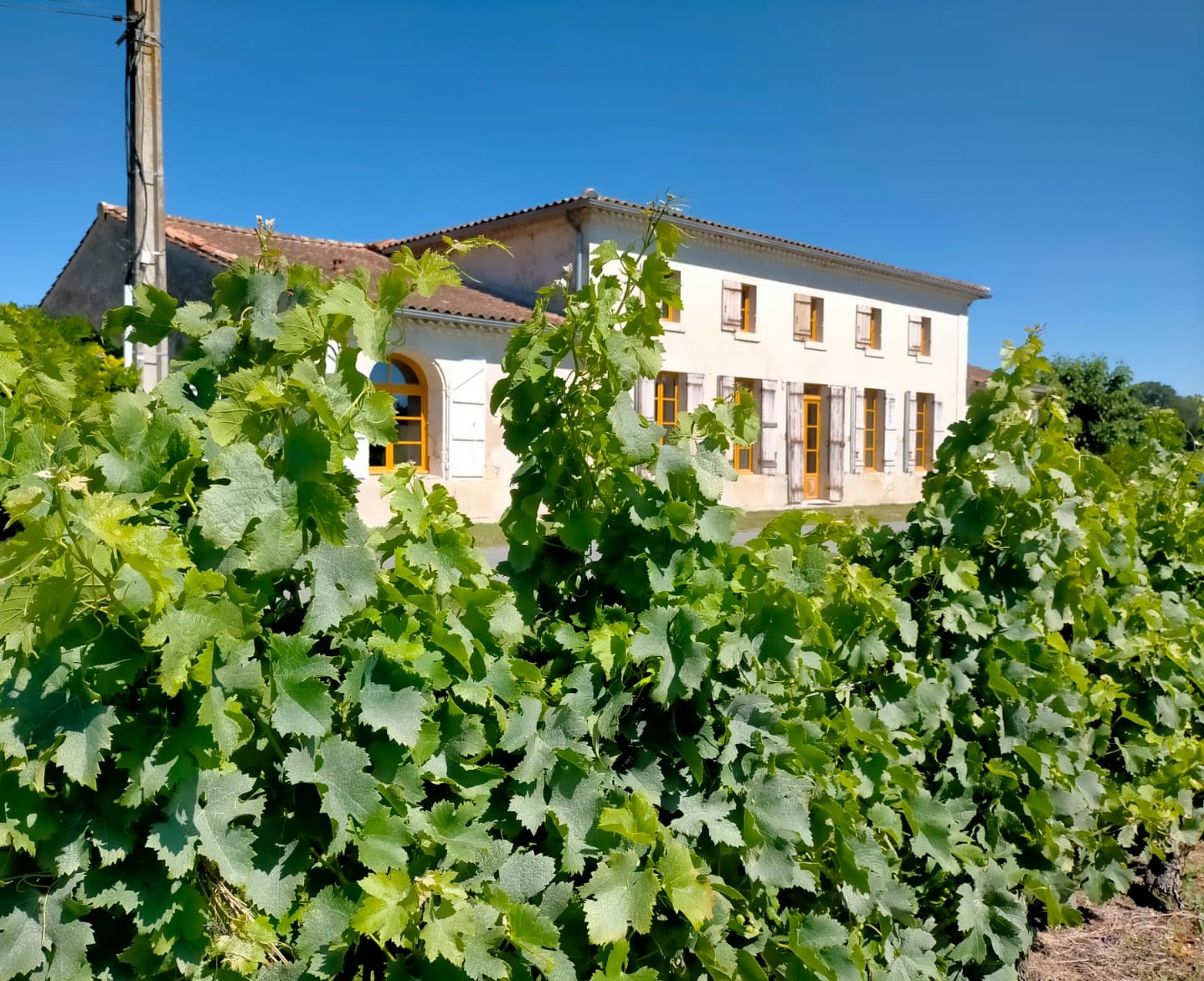 Château Fongiras, Saint-Germain-d'Esteuil - photo 18