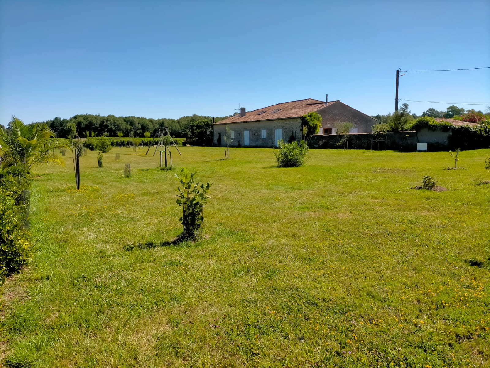 Château Fongiras, Saint-Germain-d'Esteuil - photo 23