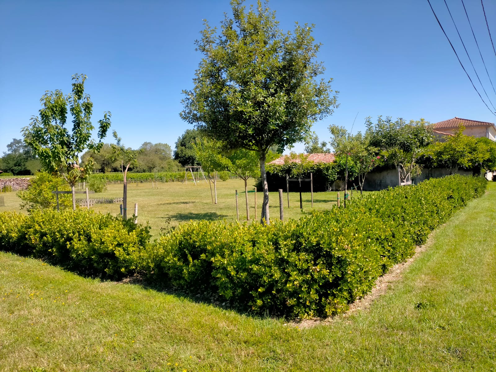 Château Fongiras, Saint-Germain-d'Esteuil - photo 15