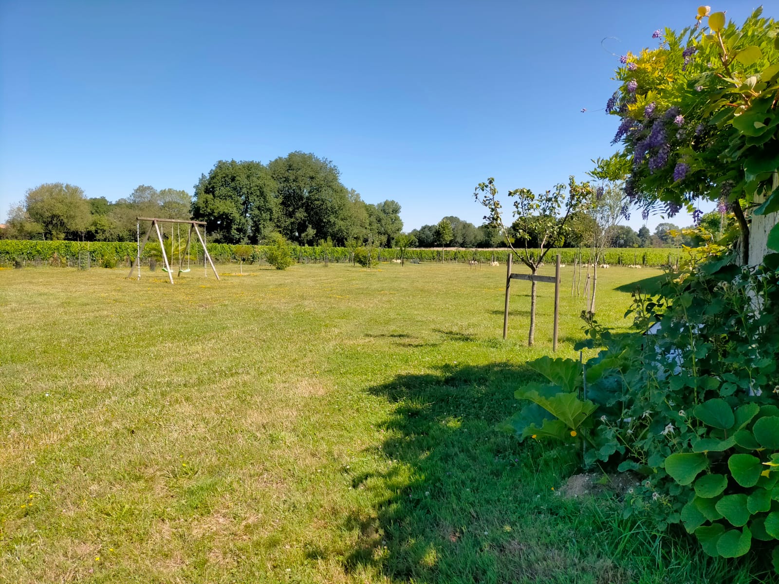 Château Fongiras, Saint-Germain-d'Esteuil - photo 21