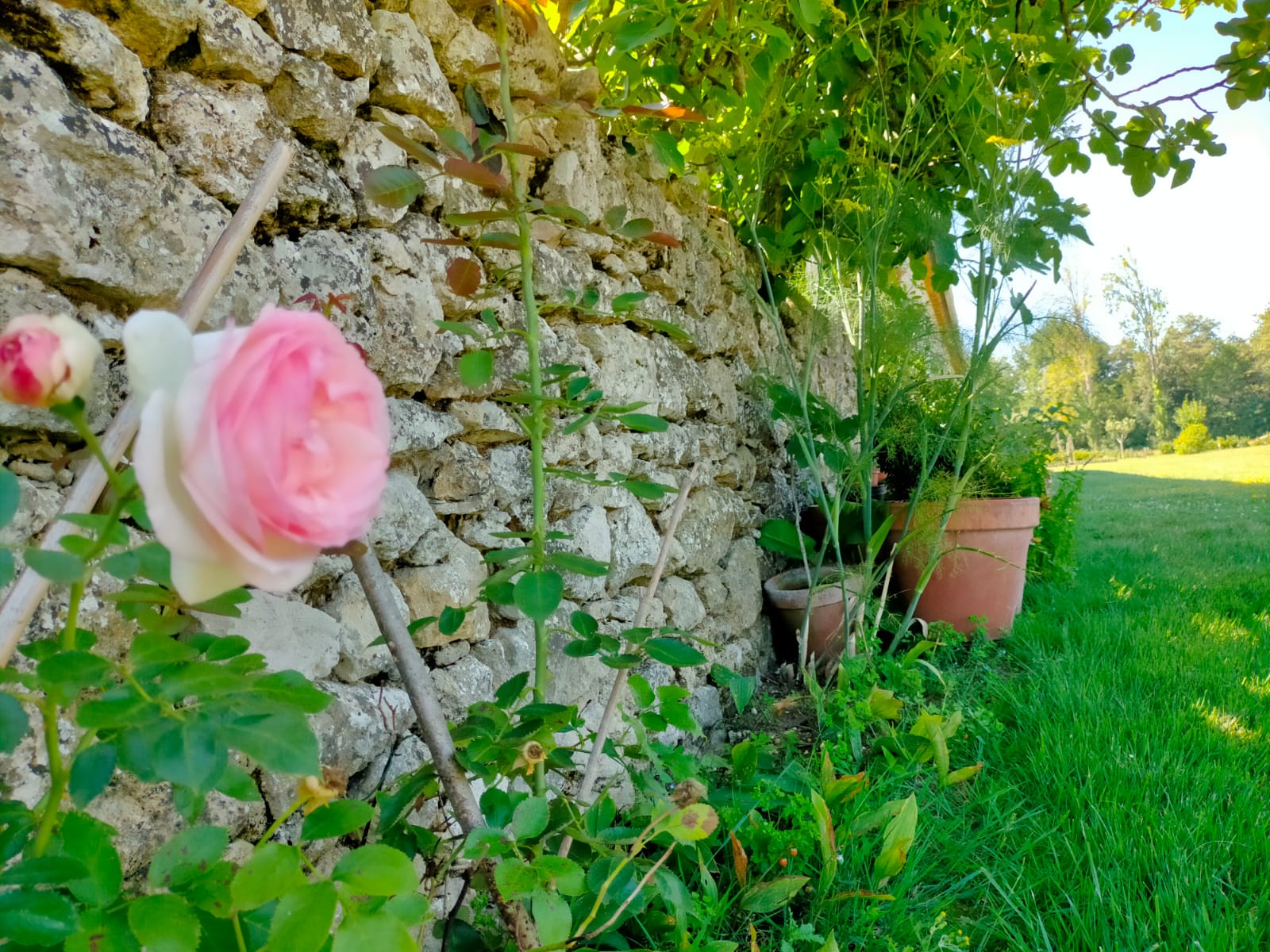 Château Fongiras, Saint-Germain-d'Esteuil - photo 12