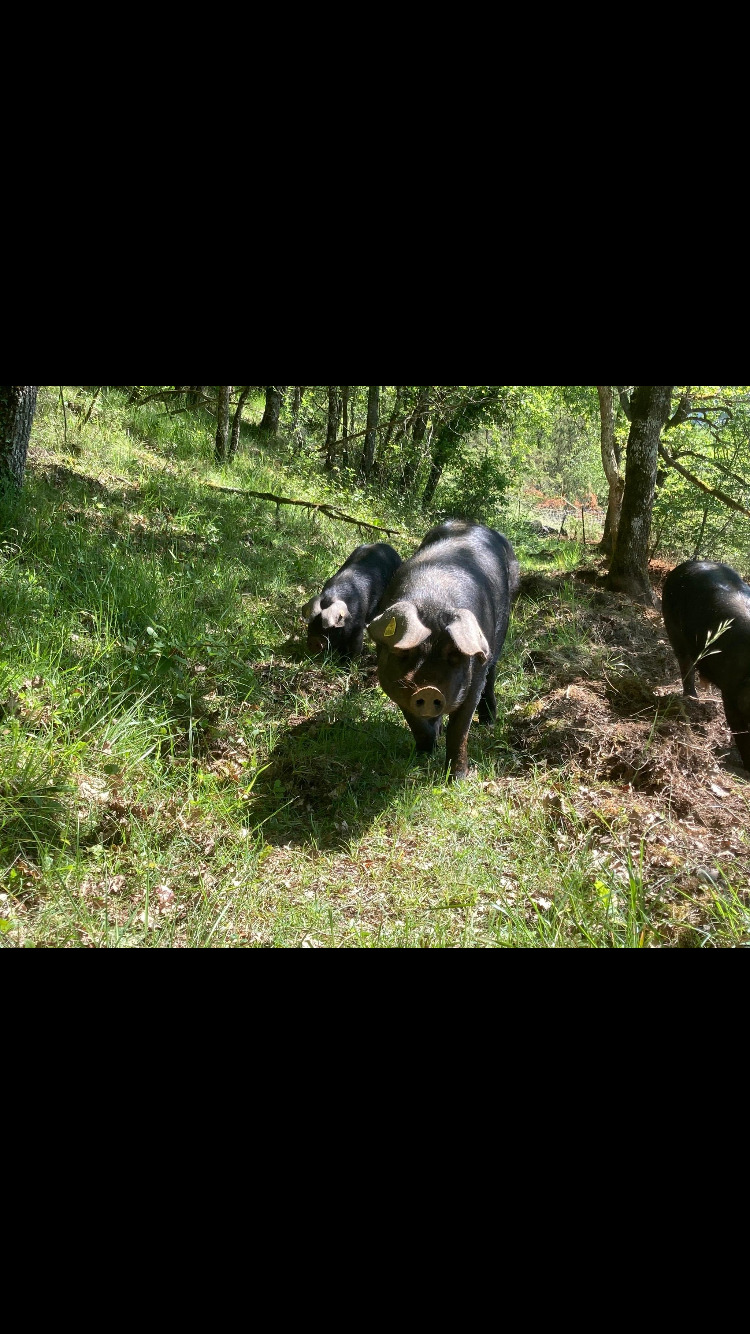 Ferme La Massinie