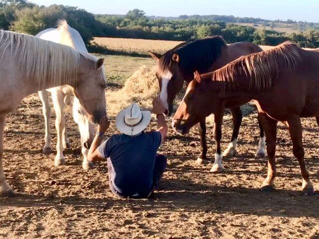 Balade équestre avec La NOALHA