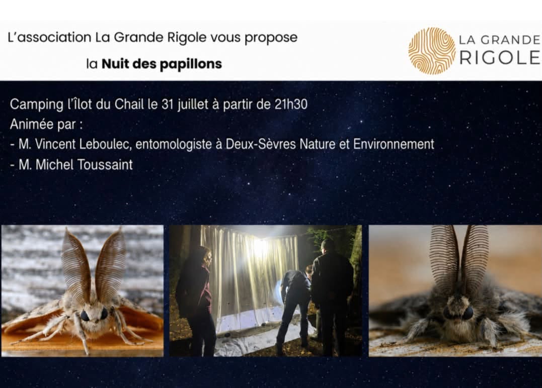 La Nuit des Papillons à La Garette