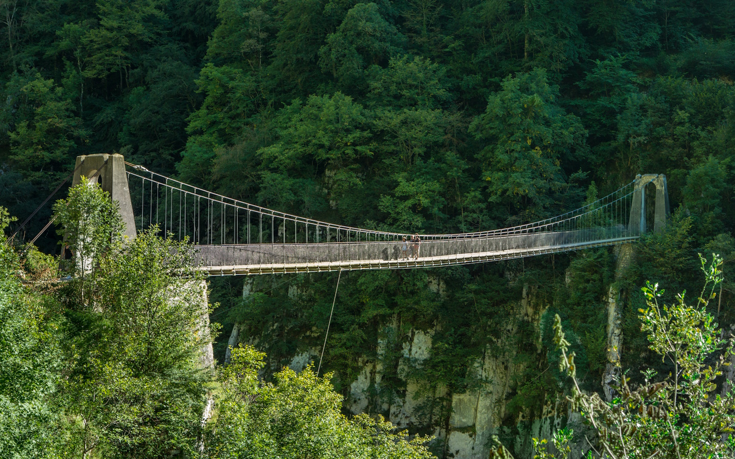 Passerelle d'Holzarte