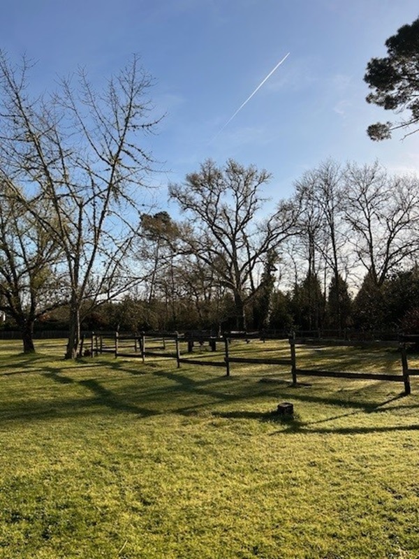 La petite Landaise ***