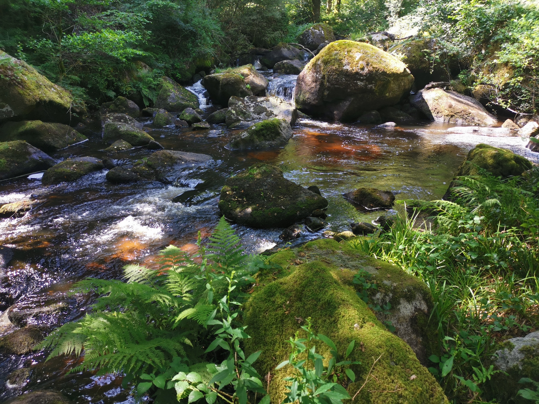 Boucle Locale N°56 Pierre d’Aubusson et la vallée du Thaurion, Le Monteil-au-Vicomte
