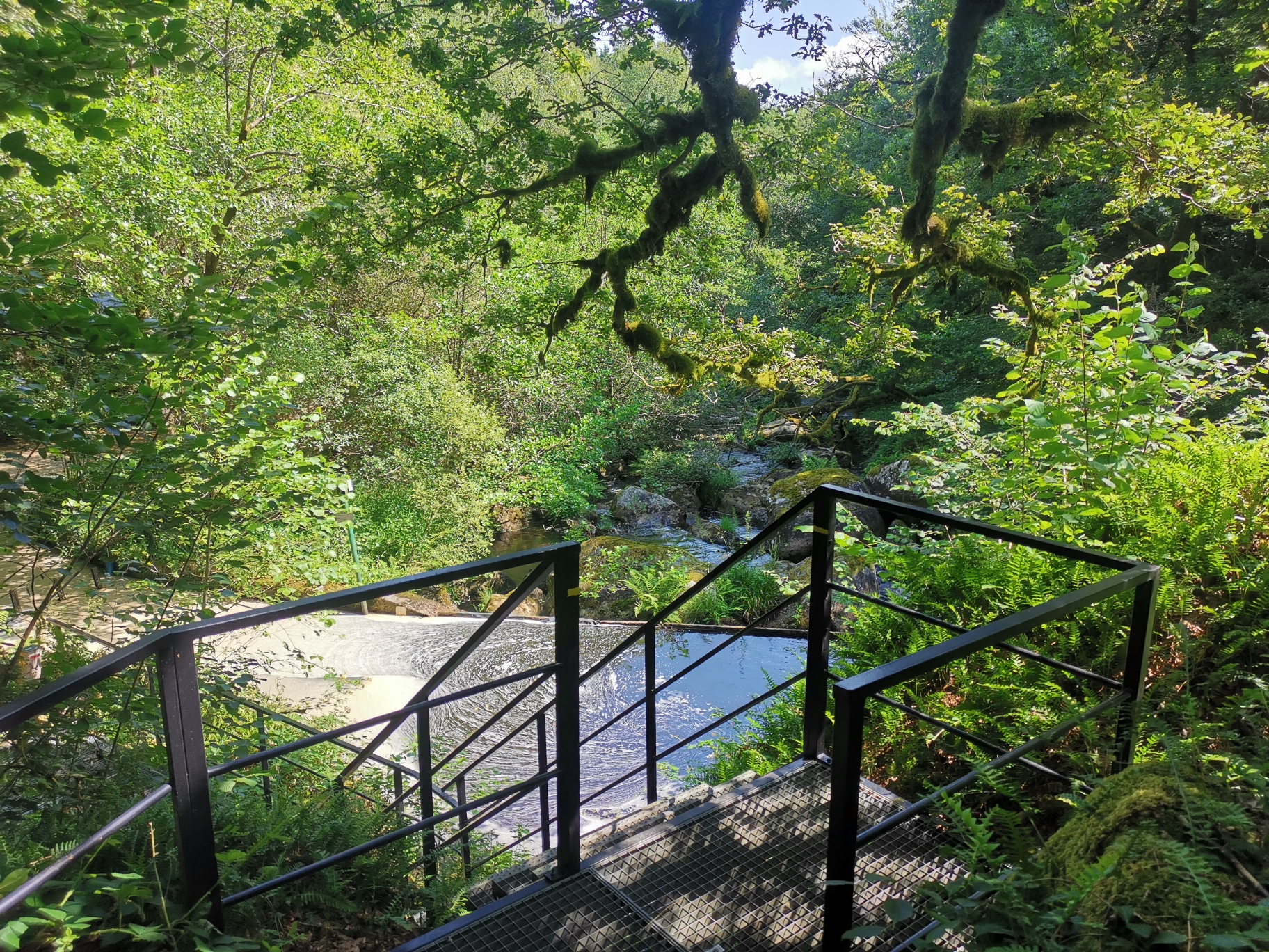 Boucle Locale N°56 Pierre d’Aubusson et la vallée du Thaurion, Le Monteil-au-Vicomte - photo 3