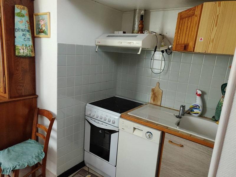 Vicasse, La Sauvetat-du-Dropt - photo 17