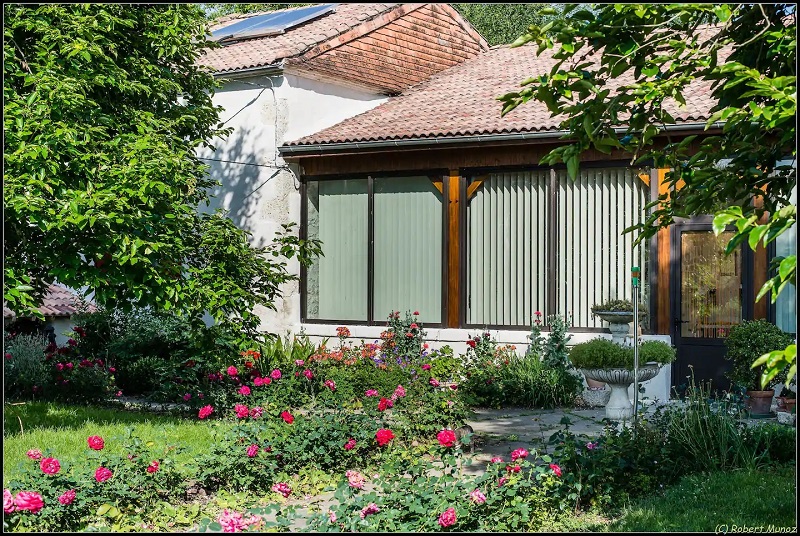 Vicasse, La Sauvetat-du-Dropt - photo 10