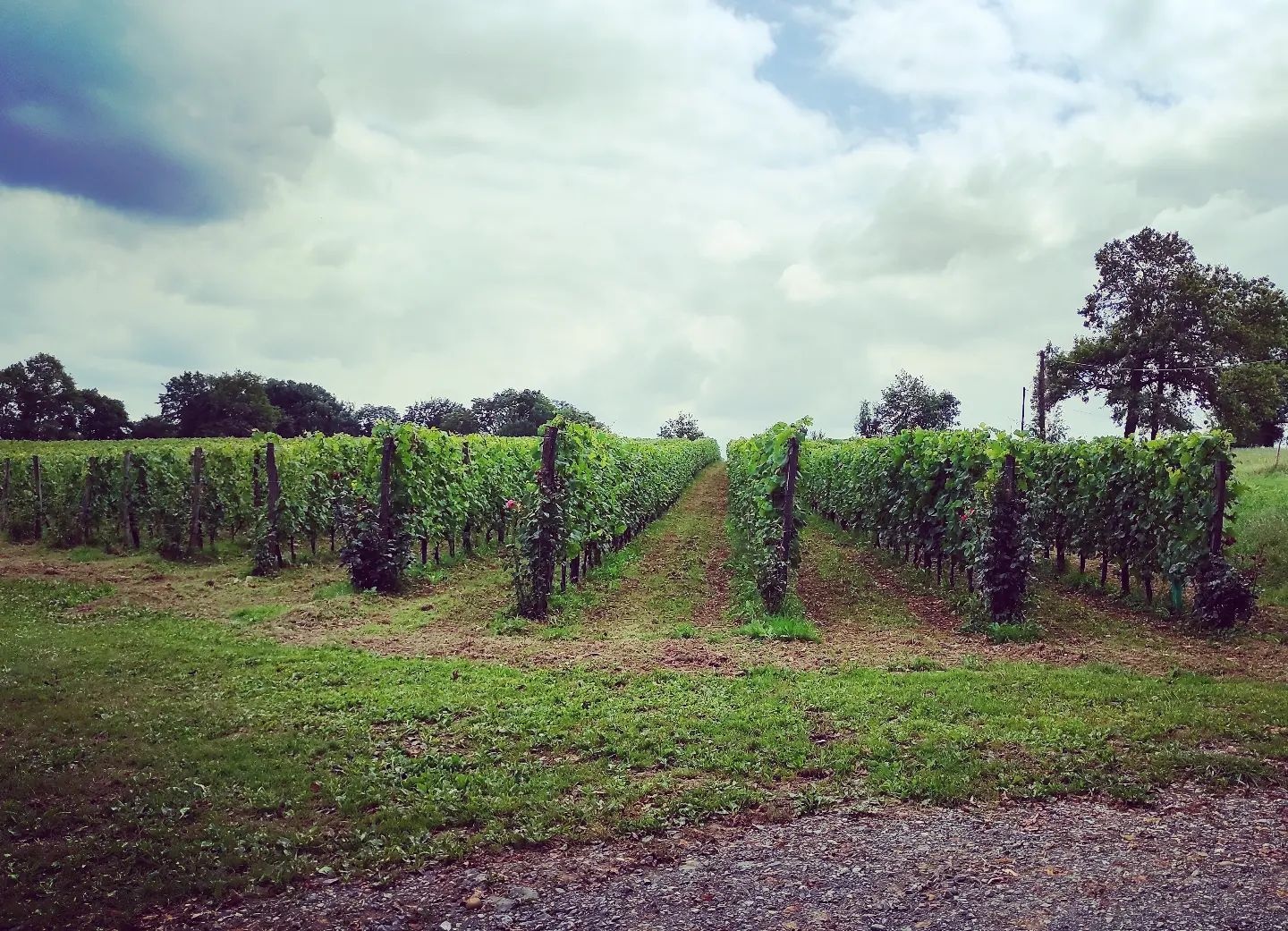 Clos Larrouyat