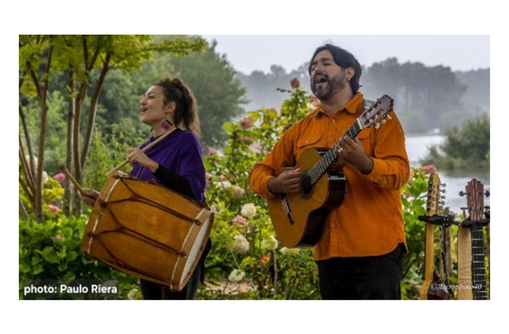 Concert | Dimelotu — visuel événement
