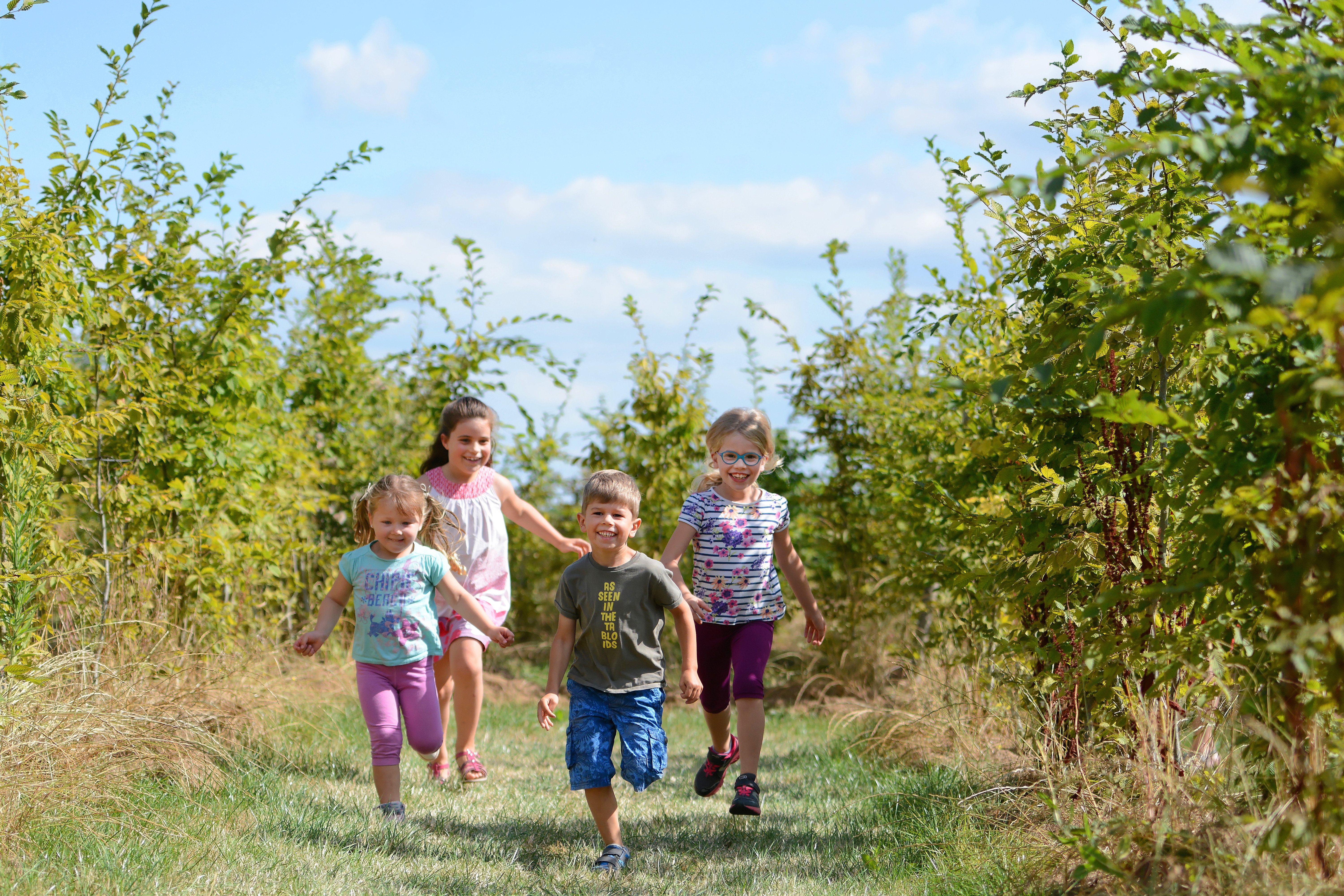 Labyrintruche, Courlay - photo 3